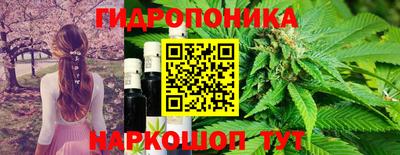 каннабис Будённовск
