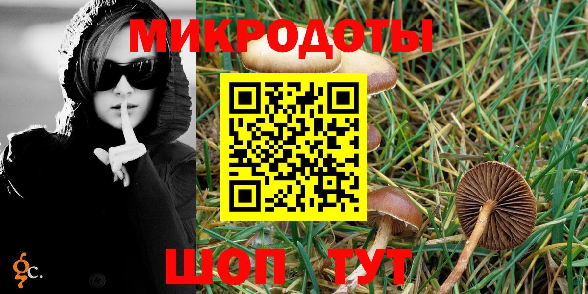 Псилоцибиновые грибы Psilocybe  Вход с VPN  Минеральные Воды 