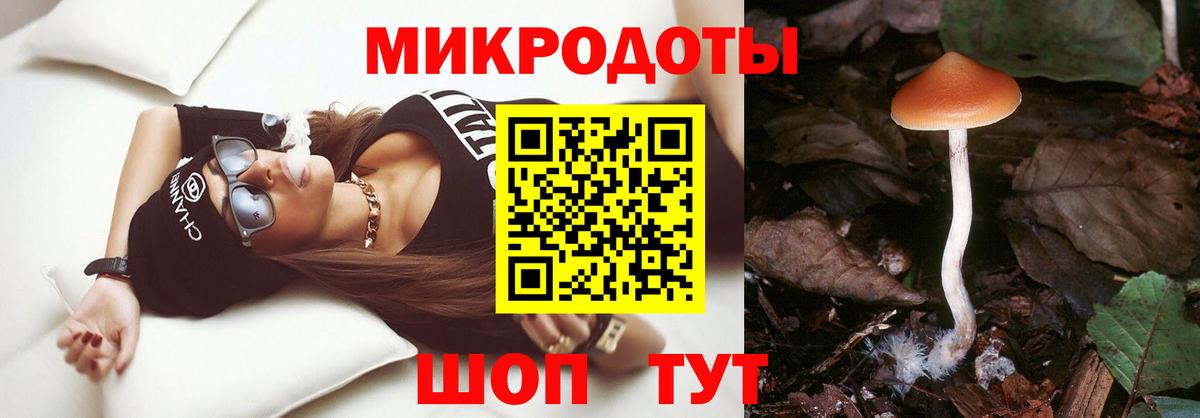 Галлюциногенные грибы мицелий Минеральные Воды